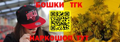 спиды Кингисепп
