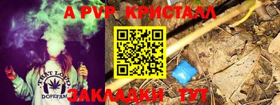 спиды Кингисепп