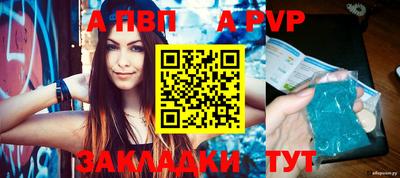 спиды Кингисепп