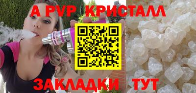 спиды Кингисепп