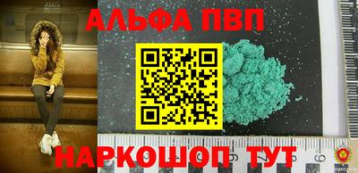 спиды Кингисепп