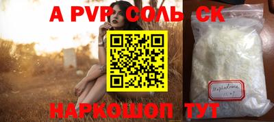 спиды Кингисепп