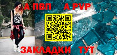 спиды Кингисепп