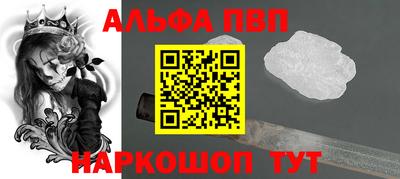 спиды Кингисепп