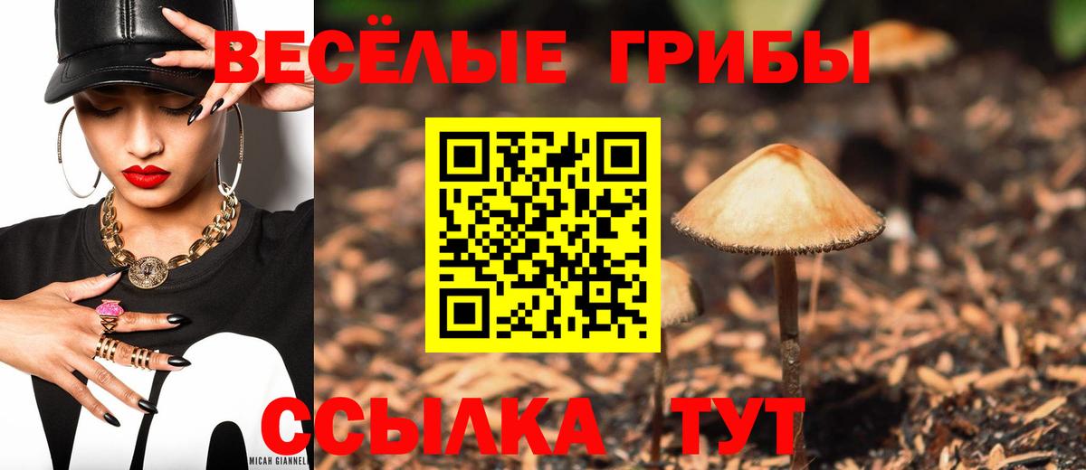 Псилоцибиновые грибы мухоморы Шахты